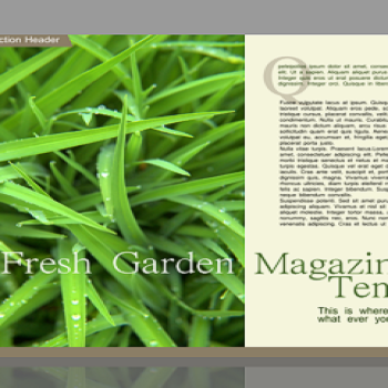 Scribus Magazine Layout updated