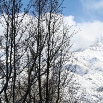 Provo Mountains - Fresh White