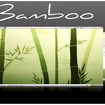 Bamboo Zen