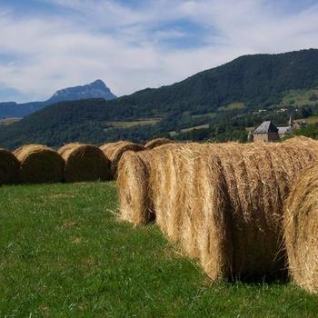 Hay Bales in Mountains, France