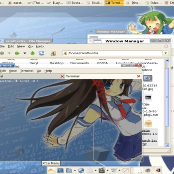 LinuxViesta (Transparent)