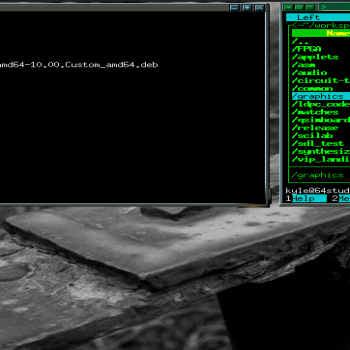 System Shock Xfwm4
