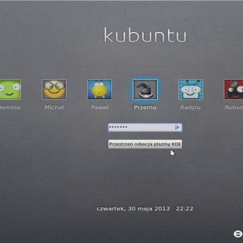 Experience LightDM Theme
