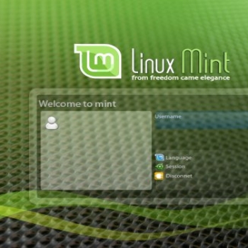 Mint - Green