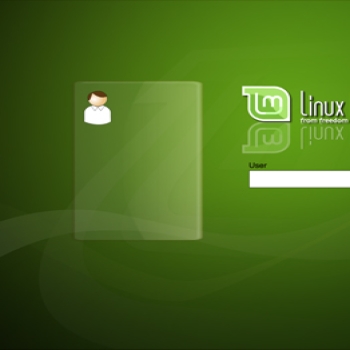 Linux Mint-Lake