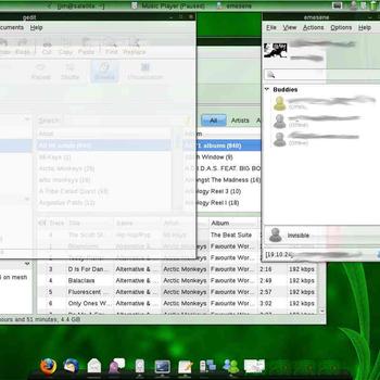 screenshot 13 May 2008