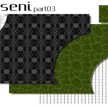 Deseni03