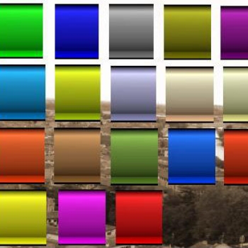 Colors Collection Kickers