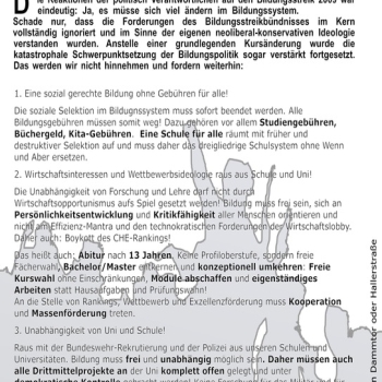 Political Flyer - Bildungsstreik