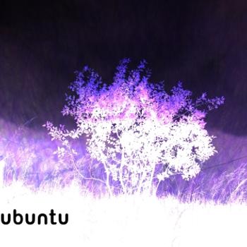 Purple Ubuntu