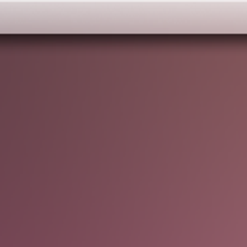 OS X Leopard panel