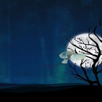 Fedora 15 Lovelock Xfce