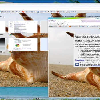 theme for Google Chrome