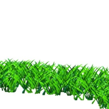 Grass