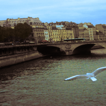 Paris Pont Saint-Michel - kde logo and without logo