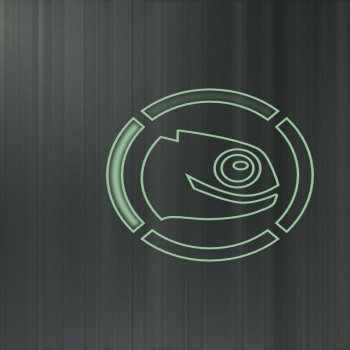 openSuSE Geeko