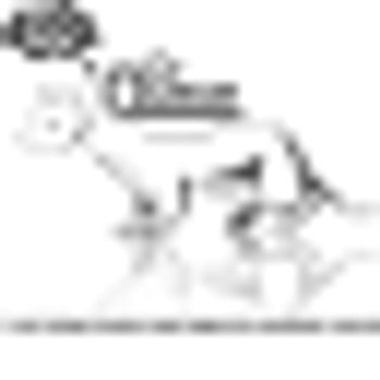 DrQueue