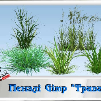 Gimp brushes Grass