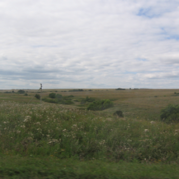 Green Field