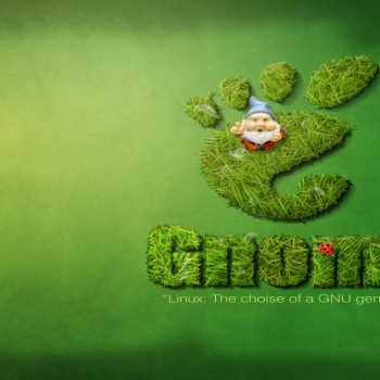 Grassy gnome