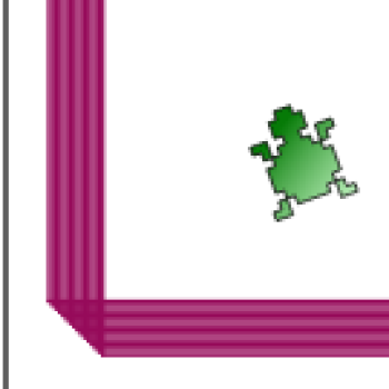 Bouncing Turtle