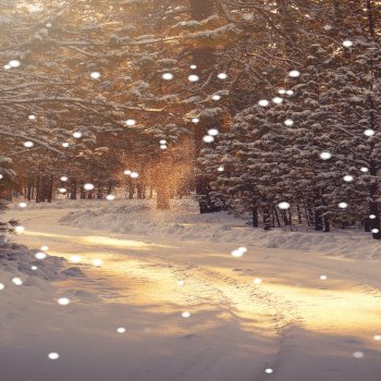 Live Wallpaper Snow