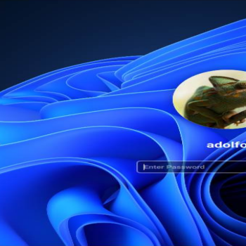 windows 11 dark sddm