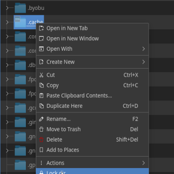 Lock/unlock directory service menu