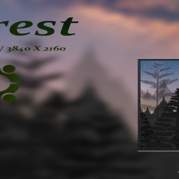 Forest Night Ubuntu Desktop Wallpaper