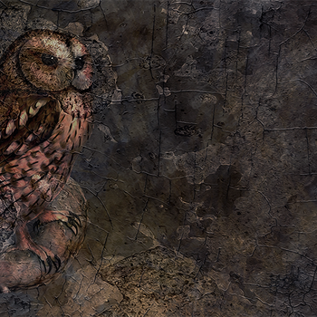 Plasma Vintage Owl Background 04 4K HD