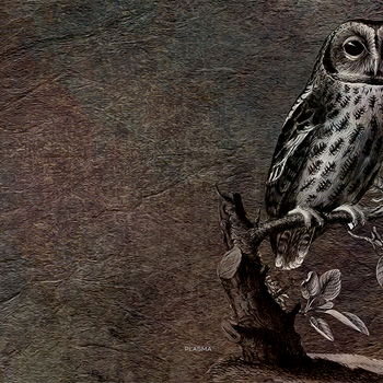 Plasma Vintage Owl Background 03 4K HD