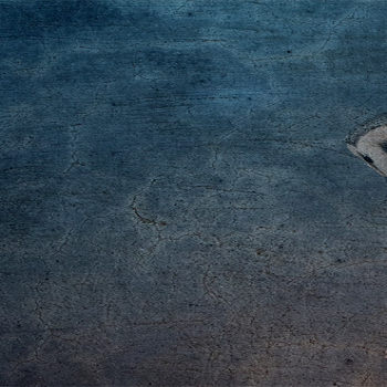 Plasma Vintage Owl Background 01 4K HD