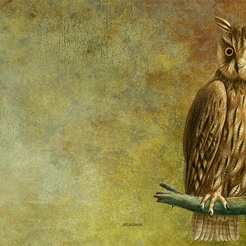 Plasma Vintage Owl Background 05 4K HD