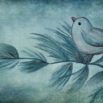 Plasma Vintage Bird 4K HD