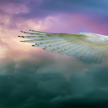 Gnome Desktop Wallpaper 486 4K HD