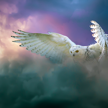 Plasma Desktop Wallpaper 2013 4K HD