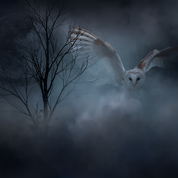 Plasma Desktop Wallpaper 2038 4K HD