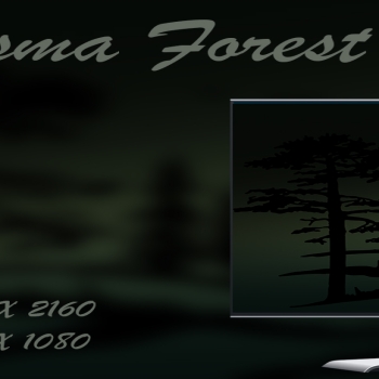 Plasma Silhouette Forest 4K HD