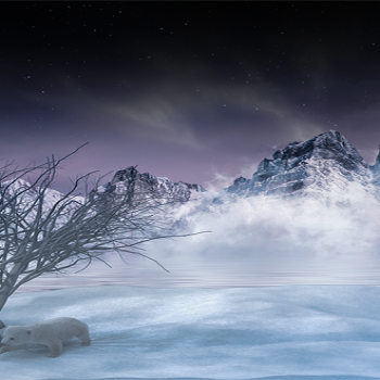 XFCE Desktop Wallpaper 82