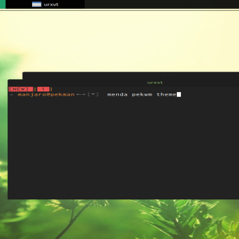 Menda Pekwm Theme