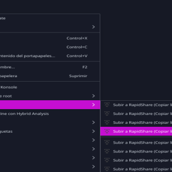 RapidShare