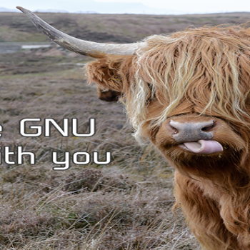 Let the GNU Wallpaper [4K]