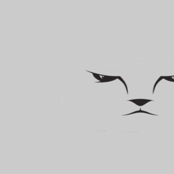 CyberCat
