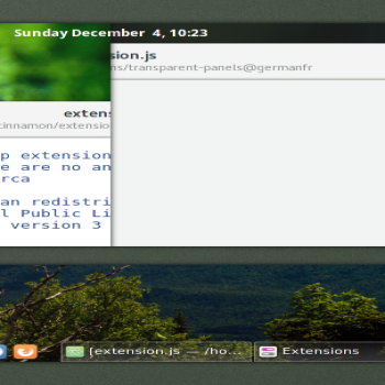 Transparent Panels for Cinnamon