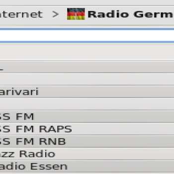 German Radio Streams Service