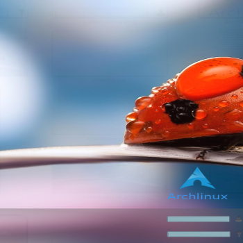 сонечко/ladybug