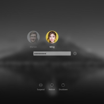 Chili login theme for SDDM