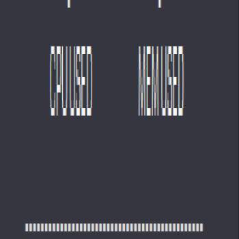 Conky Simple
