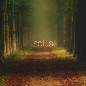 Solus Forest