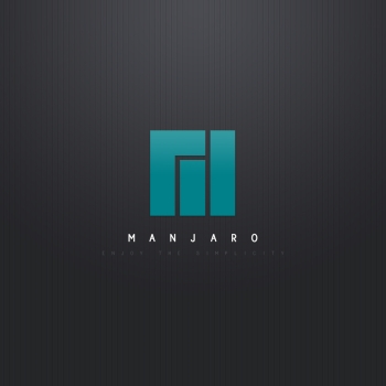 Manjaro ETS 2